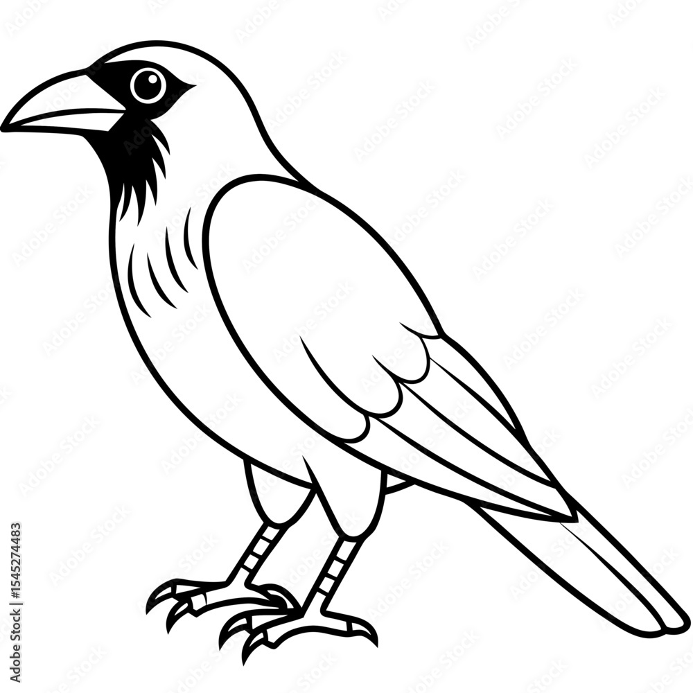 Fototapeta premium Crow line art vector