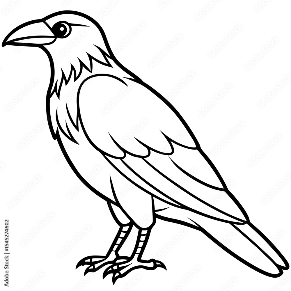 Fototapeta premium Crow line art vector