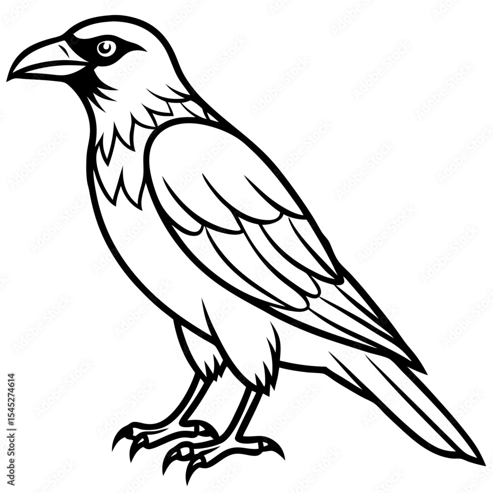 Crow line art vector Crow line art vector
