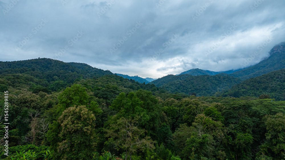 A dramatic view of a lush, forested mountain peak shrouded in thick clouds, capturing the raw beauty and mystique of nature under an overcast sky. A dramatic view of a lush, forested mountain peak shrouded in thick clouds, capturing the raw beauty and mystique of nature under an overcast sky.