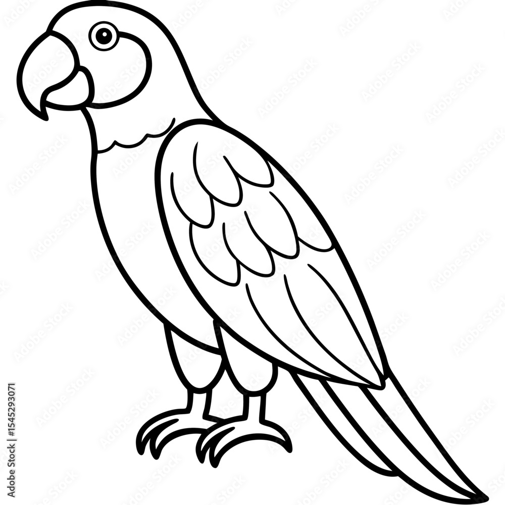 Fototapeta premium Parrot line art vector