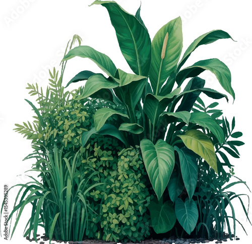 Lush green foliage arrangement featuring diverse plant species against a clean white background