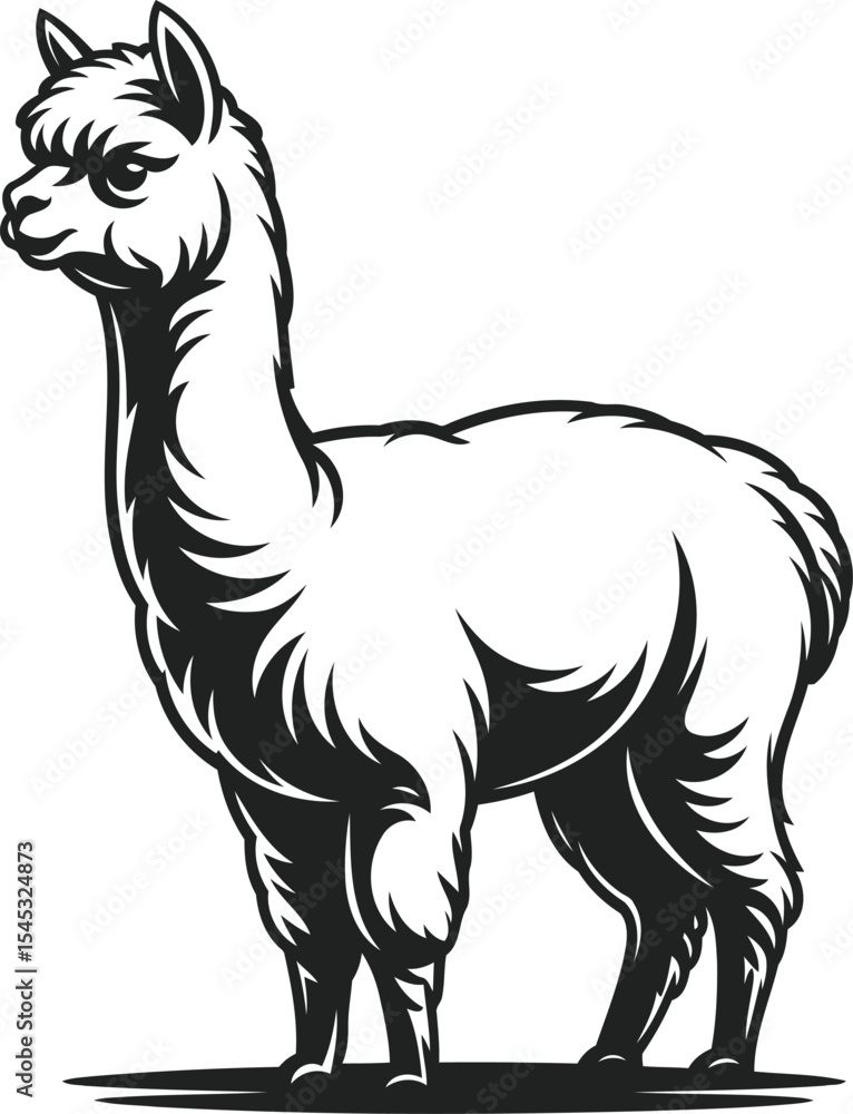 Obraz premium Llama Silhouette with Fluffy Fur, Black Vector Design, Transparent Background.