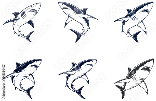 Shark Vector Designs Set Fun and Fierce Ocean Animal Illustrations in Flat Style