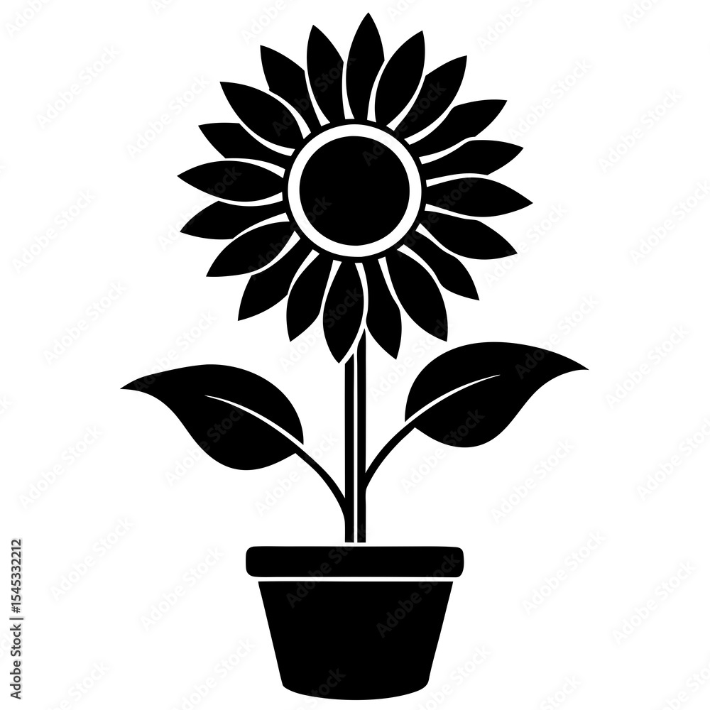 Obraz premium Sunflower in a pot isolated on white background