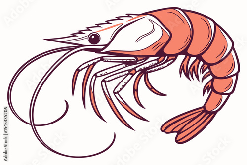 vector illustration of shrimp