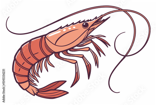shrimp vector illustration
