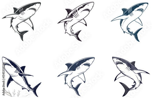 Shark Vector Designs Set Fierce and Fun Flat Illustrations of Ocean Sharks