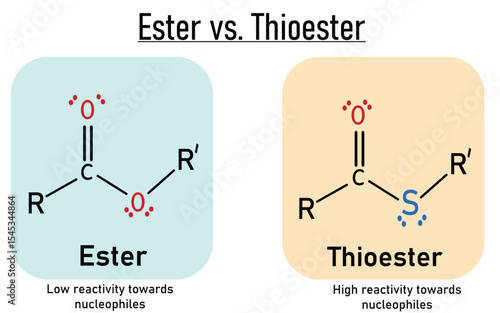 Structural Differences Between Ester and Thioester biochemistry functional groups vector infographic