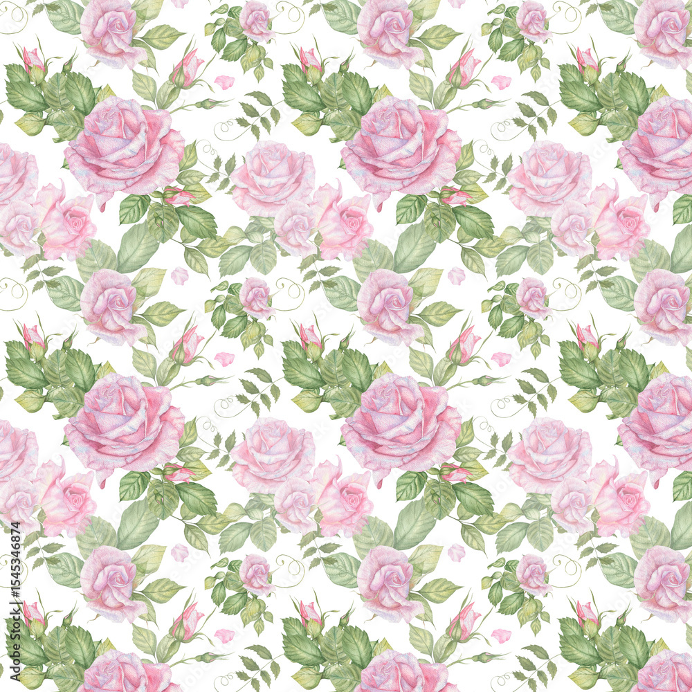 A pattern of watercolor pink roses on a white isolated background. A pattern of watercolor pink roses on a white isolated background.