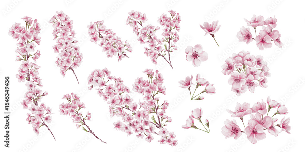 Set of blossom tree branches. Pink cherry blossoms. Sakura. Branches with leaves and stems. Spring trees. Watercolor illustration isolated from background. Hand drawn. Template and decor. Set of blossom tree branches. Pink cherry blossoms. Sakura. Branches with leaves and stems. Spring trees. Watercolor illustration isolated from background. Hand drawn. Template and decor.