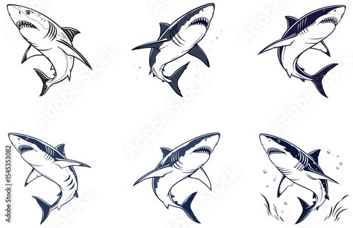Shark Vector Designs Set Bold and Creative Ocean Predator Illustrations