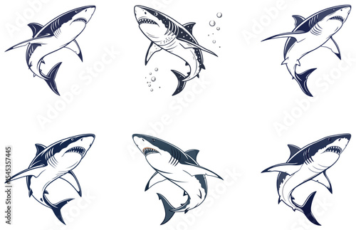 Shark Vector Designs Set Bold and Dynamic Ocean Predator Illustrations