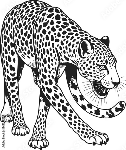 Leopard engraving vector showcases a magnificent creature in a woodcut style design featuring intricate details and artistic flair