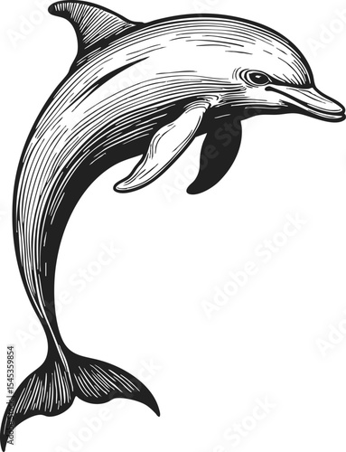 Amazon River Dolphin Pink Dolphin retro style engraving, pen and ink artwork featuring a playful dolphin in a lively pose