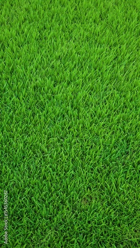 Wallpaper Mural Lush Green Grass Field Texture Background image Torontodigital.ca