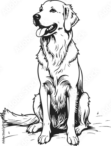 English Cream Golden Retriever antique clipart showcases a vintage engraving style of a loyal dog sitting proudly in a natural setting