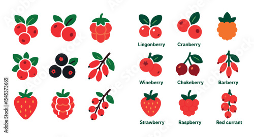 Berry Icon Set