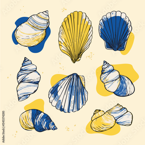 Vector illustration set of seashells