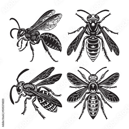 silhouette of insects wasp set bundle on the white background 