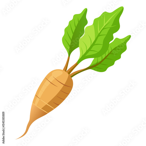Isolated cartoon carrot vector illustration for healthy eating and vegetarian diet design