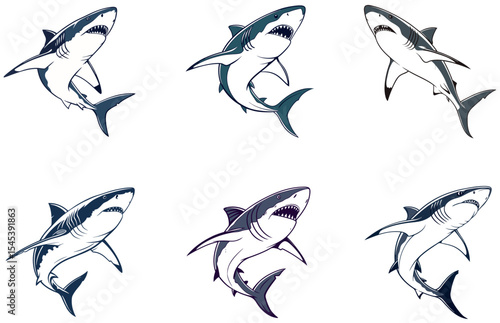 Shark Vector Designs Set Bold and Creative Shark Illustrations for Ocean-Inspired Artwork