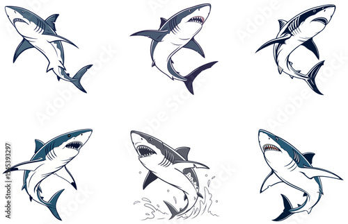Shark Vector Designs Set Fierce and Modern Ocean Predator Illustrations