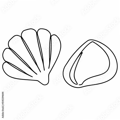 Two Simple Line Drawing Seashells Isolated on White Background Fan Shell and Clam Shell clamshell