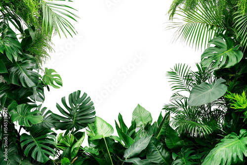 Fototapeta Naklejka Na Ścianę i Meble -  Tropical plants and trees growing in a lush green garden with white background