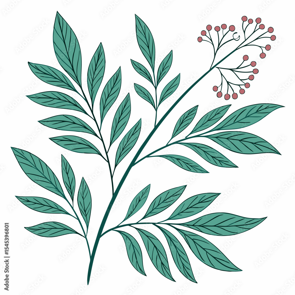Fototapeta premium Flat vector Illustration of a foliage plant 