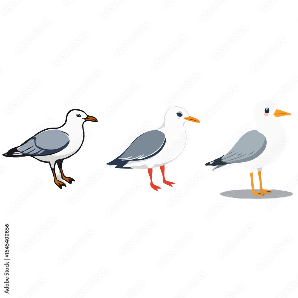 Fototapeta premium Multiple Seagull Design Illustrations 