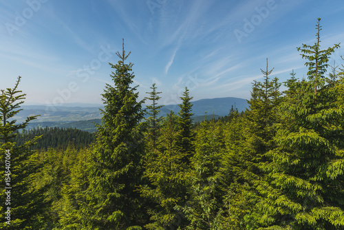 Fototapeta Naklejka Na Ścianę i Meble -  Górski krajobraz