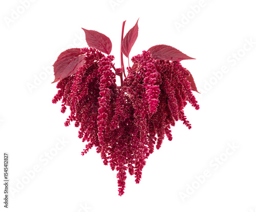 Classic Style Decor with Love Lies Bleeding Flowers