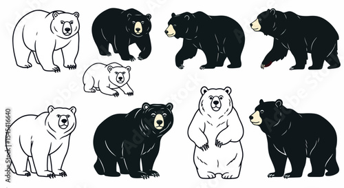 Adorable bear cubs and adult bears in various poses. Collection includes polar bears Ursus maritimus and black bears Ursus americanus.  Illustrations are perfect for children's books,