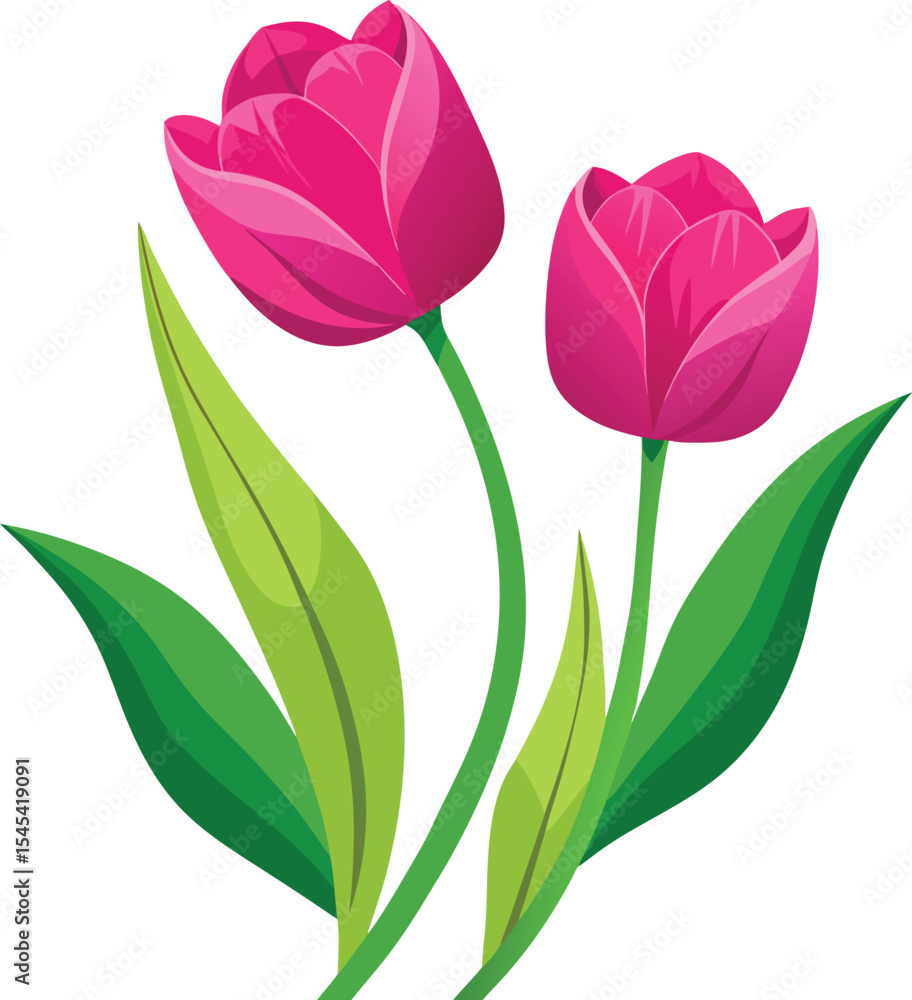 Fototapeta premium Vibrant Pink Tulips Spring Bloom Elegance