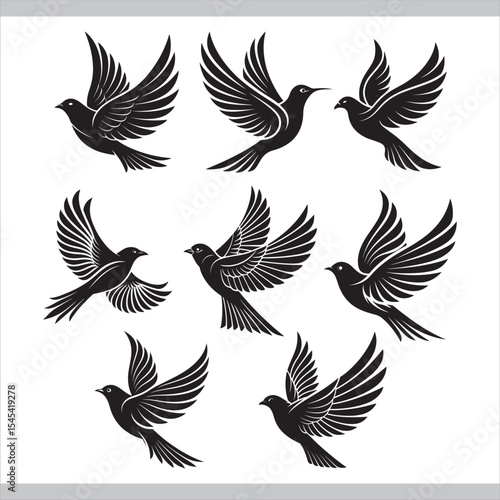 Vector illustration set of black and white flying bird silhouettes and icons