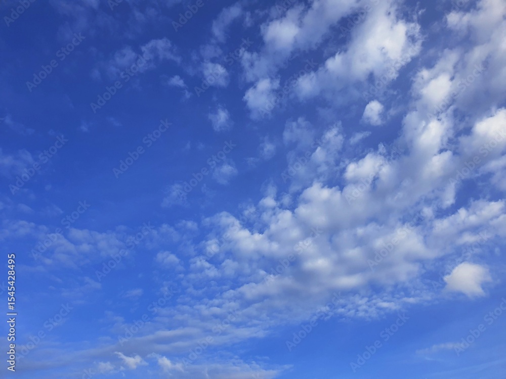 Fototapeta premium 스톡사진363