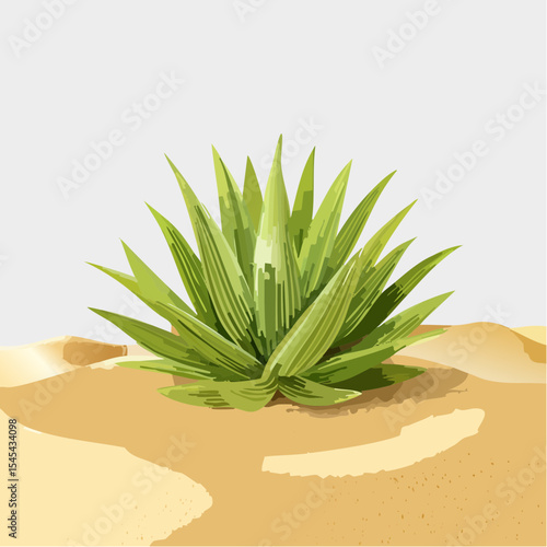 Jolie plante verte qui pousse dans le désert