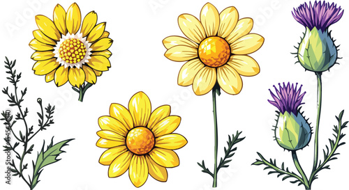 A vibrant collection of illustrated flowers including daisies and thistles on white background.