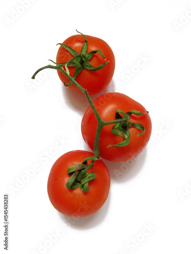 tomatoes on a branch on a white background