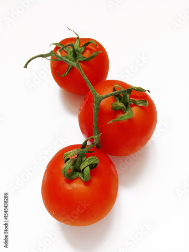 tomatoes on a branch on a white background