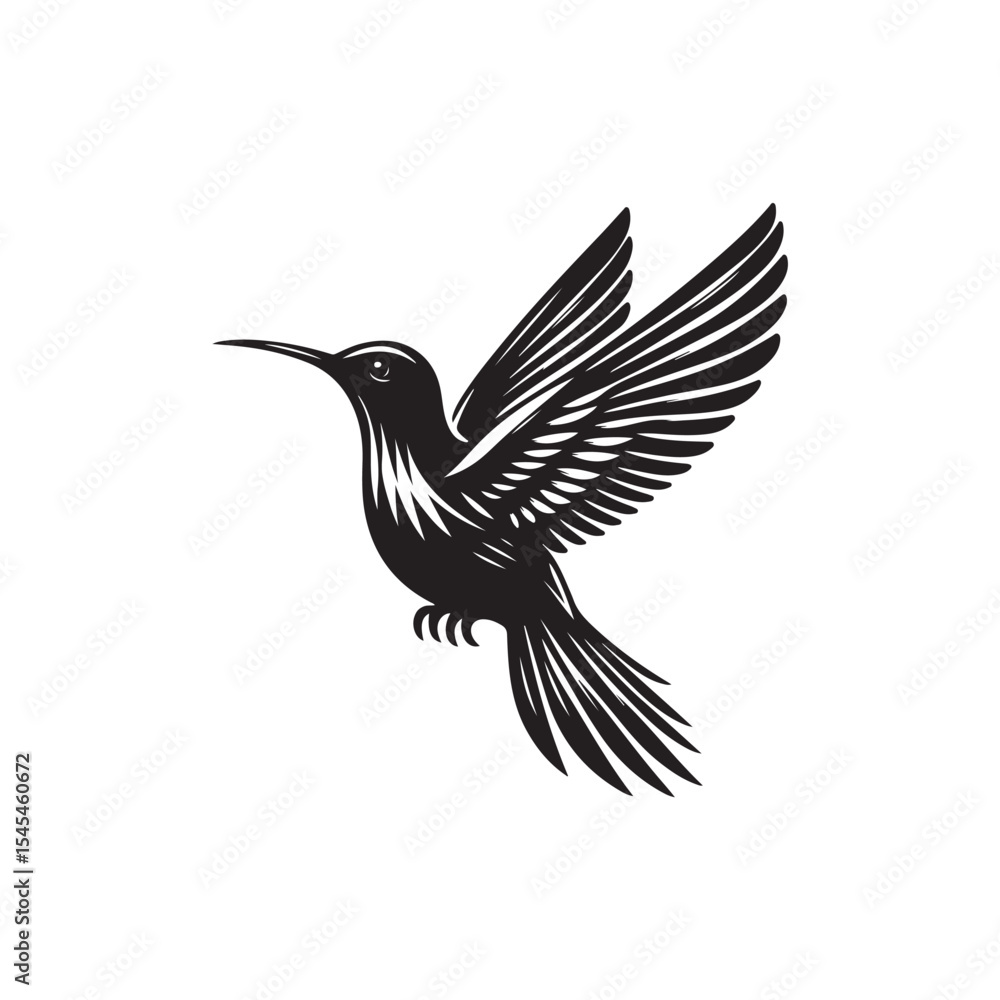 Fototapeta premium Humming Bird Vector (1).eps