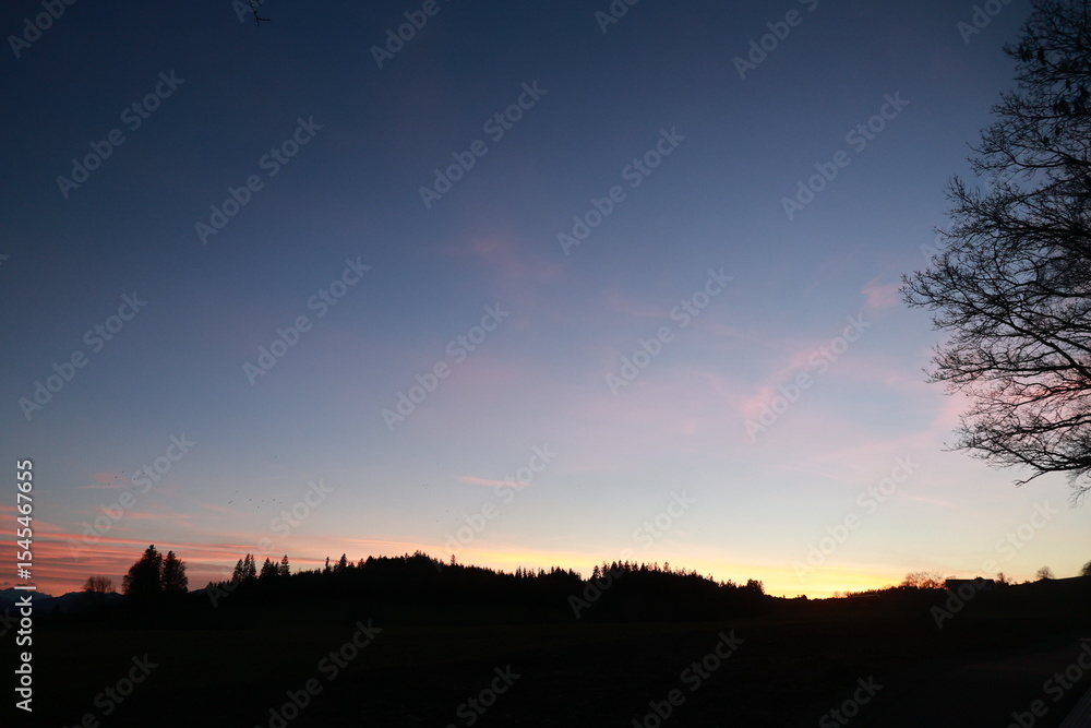 Fototapeta premium A beautiful sunset over a field with trees in the background