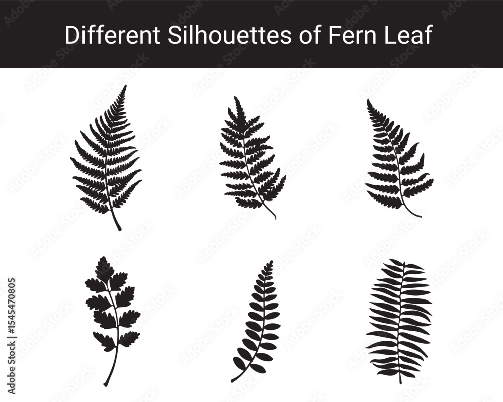 Obraz premium Set of Different Fern Leaf Silhouettes – Botanical Black Leaf Vector Collection