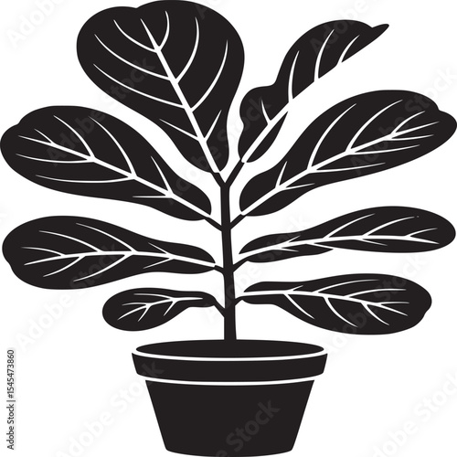 Black and white illustration of a fiddle leaf fig plant in a pot against a light background