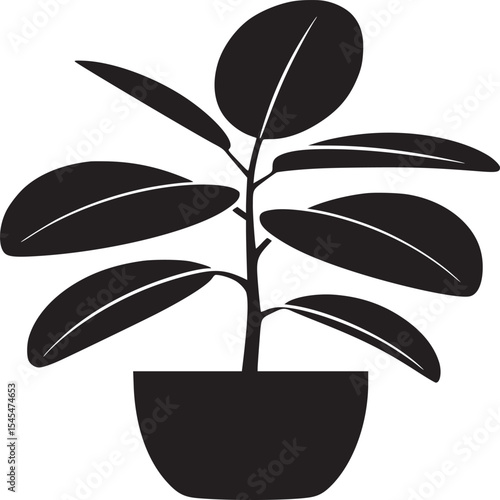 A black silhouette of a potted rubber plant with large oval leaves on a white background illustration