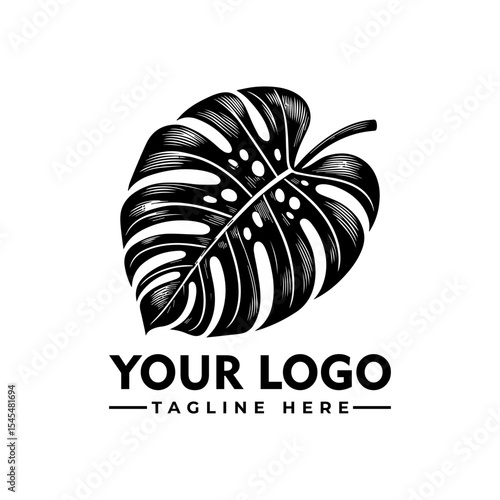 Monochrome illustration of a stylized monstera leaf, forming a logo design.