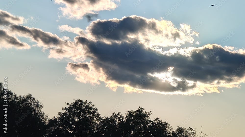 Fototapeta premium beautiful sunset in the forest