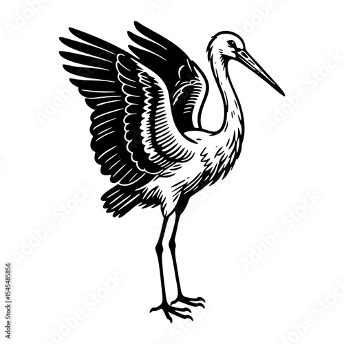 stork spread wings engraving black and white outline. Scratch board imitation.