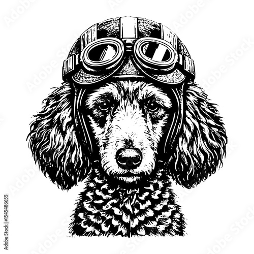 Poodle dog wears retro pilot helmet engraving black and white outline. Scratch board imitation. illustrated in vintage line art style on a white background.